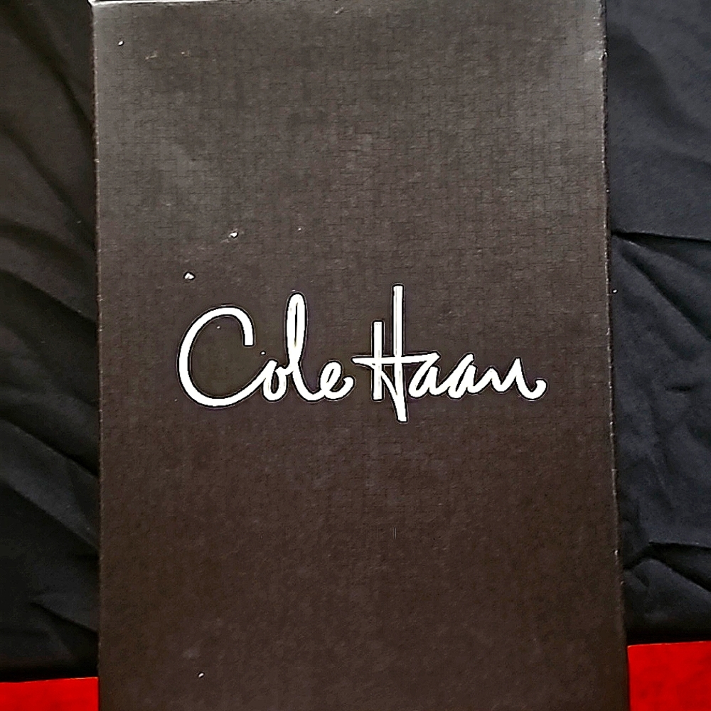 Cole Haan Foiled and Brown Leather Thong Sandle with NIKE AIR Comfort Heel.